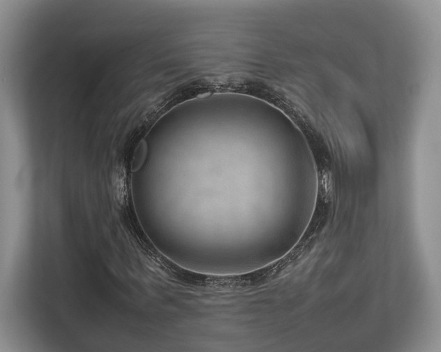 X0000112950963200908241339