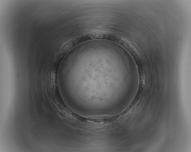 X0000112950964200908241339