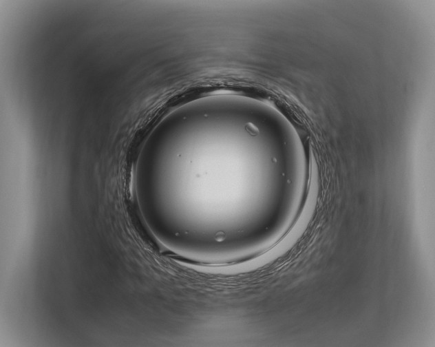 X0000112950965200908241339