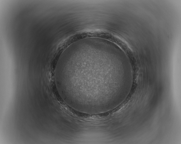 X0000112950966200908241339