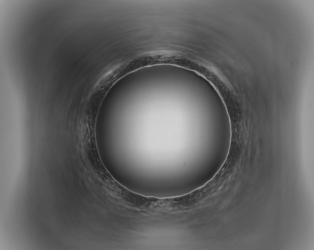 X0000112950967200908241339