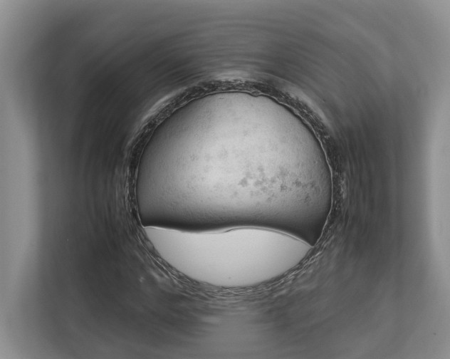 X0000112950968200908241339