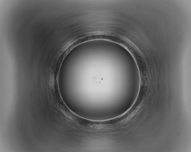 X0000112950969200908241339