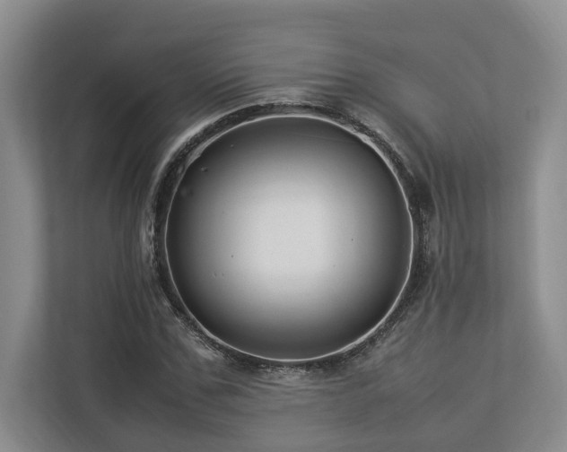 X0000112950971200908241339