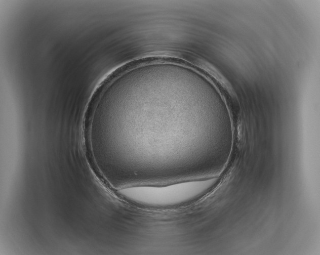 X0000112950972200908241339