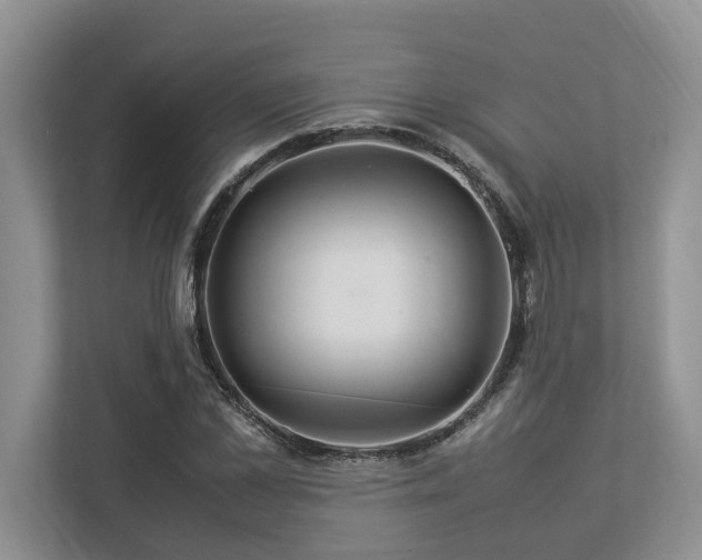 X0000112950973200908241339