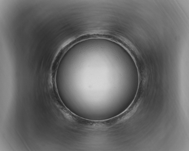 X0000112950974200908241339