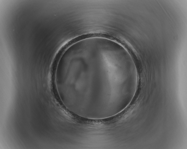 X0000112950975200908241339