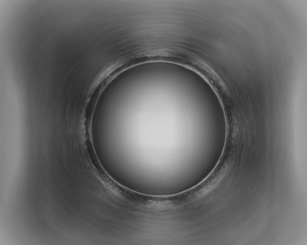 X0000112950978200908241339