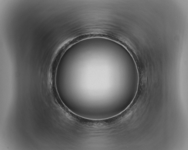 X0000112950979200908241339