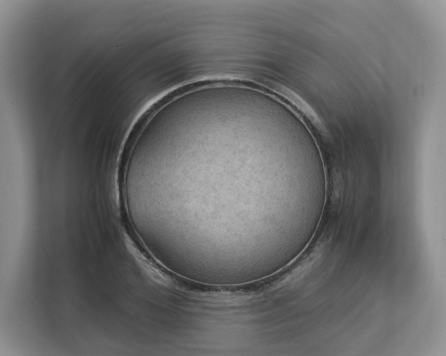 X0000112950980200908241339