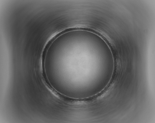 X0000112950982200908241339