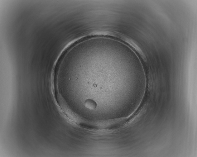 X0000112950984200908241339