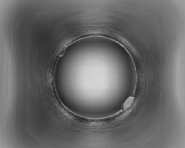 X0000112950985200908241339