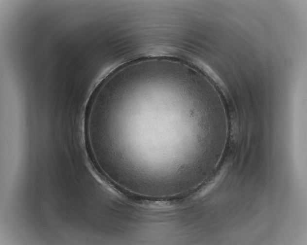 X0000112950986200908241339