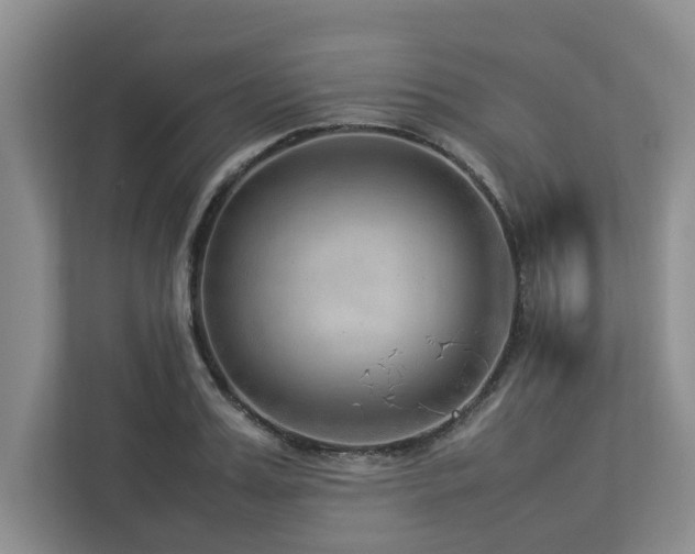 X0000112950987200908241339