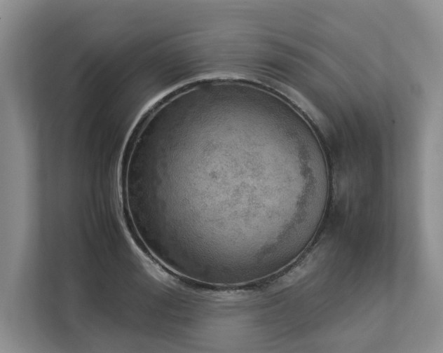 X0000112950988200908241339