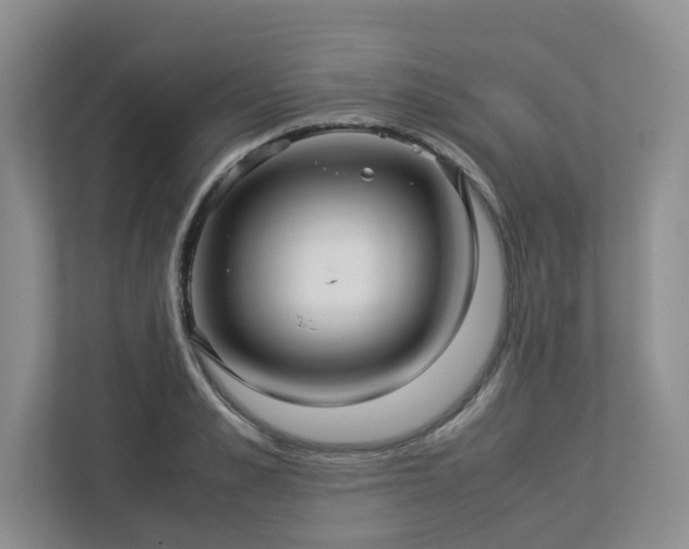 X0000112950989200908241339