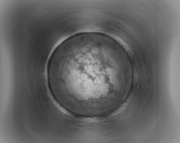 X0000112950990200908241339