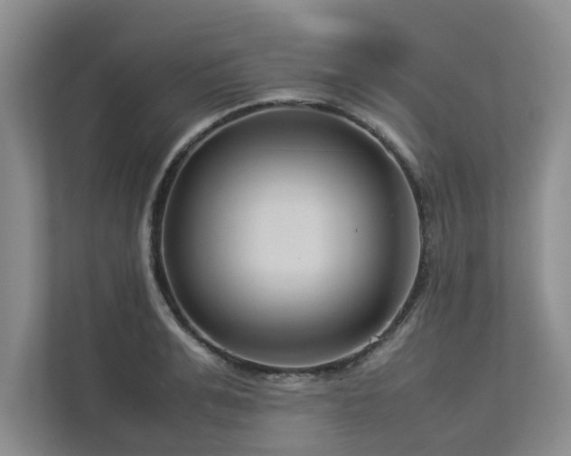 X0000112950991200908241339