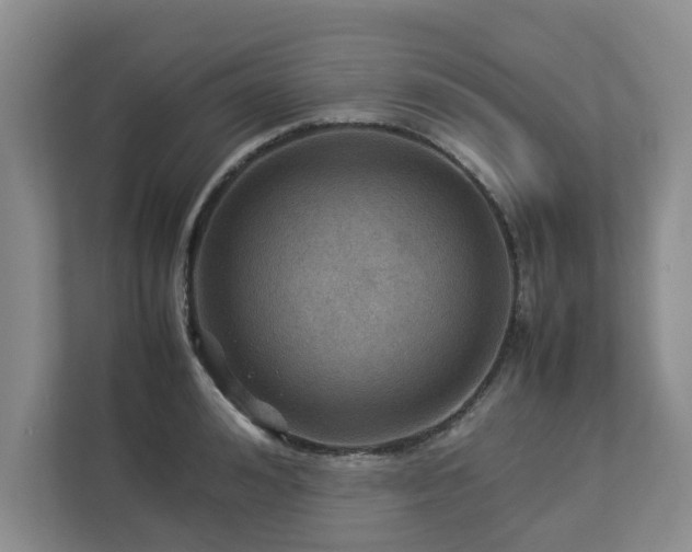 X0000112950992200908241339