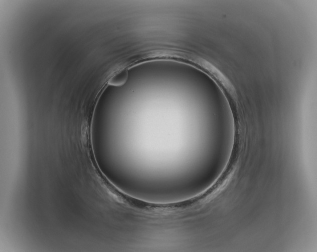 X0000112950993200908241339