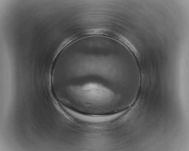 X0000112950994200908241339