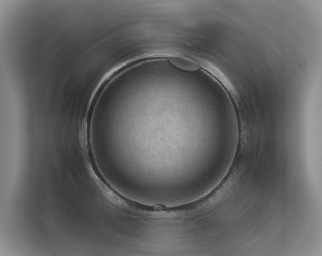 X0000112950996200908241339