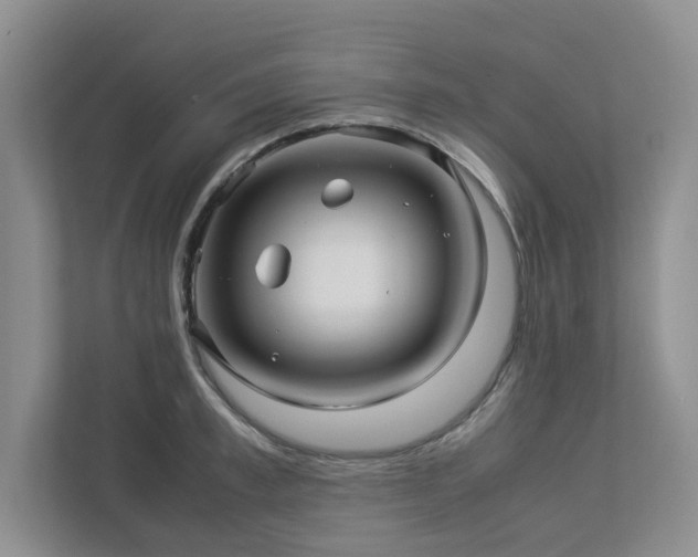 X0000112950997200908241339