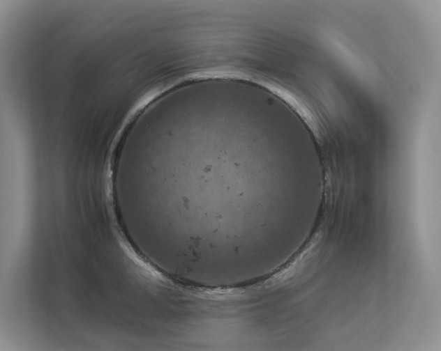 X0000112950998200908241339