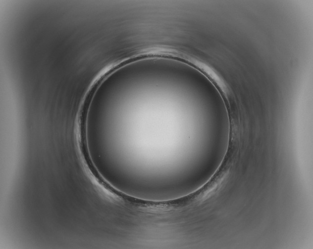 X0000112950999200908241339