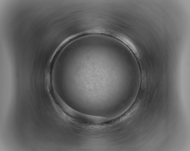 X0000112951000200908241339