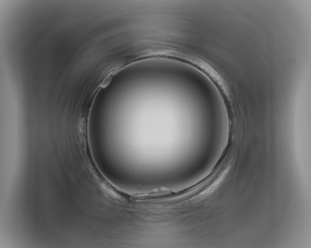 X0000112951001200908241339