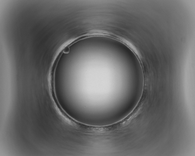 X0000112951003200908241339