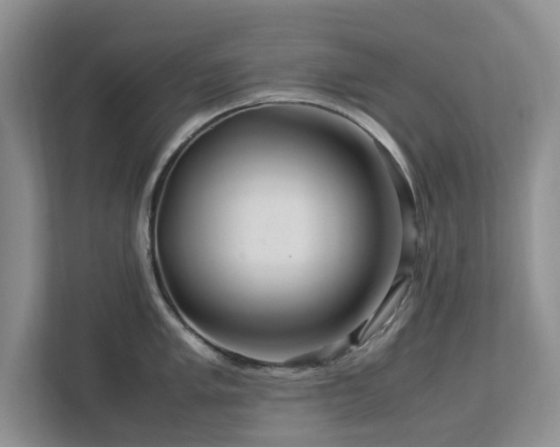 X0000112951005200908241339