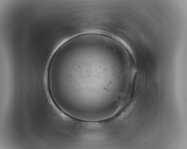 X0000112951007200908241339