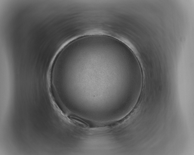 X0000112951008200908241339