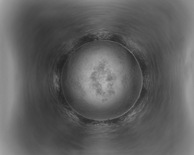 X0000112951010200908241338