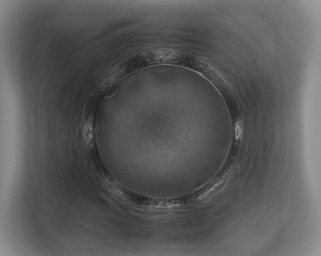 X0000112951011200908241338