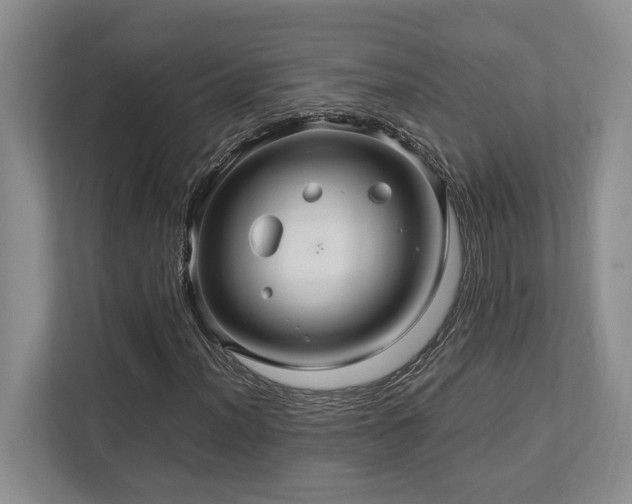 X0000112951012200908241338