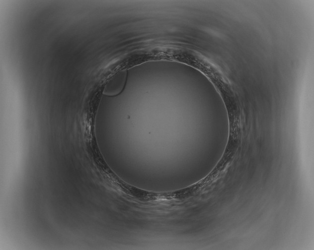 X0000112951013200908241338