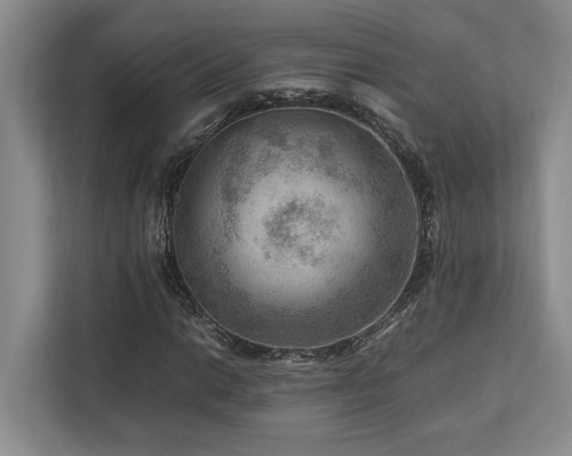 X0000112951014200908241338