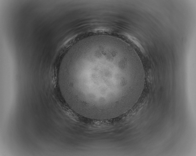 X0000112951015200908241338