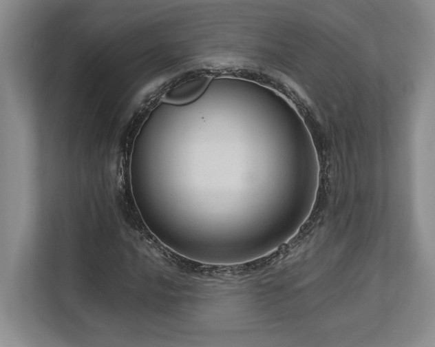 X0000112951016200908241338