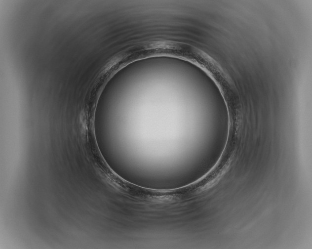 X0000112951017200908241338