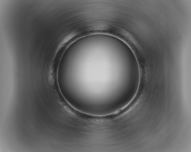 X0000112951018200908241338