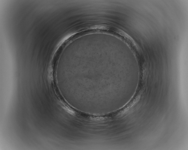 X0000112951019200908241338