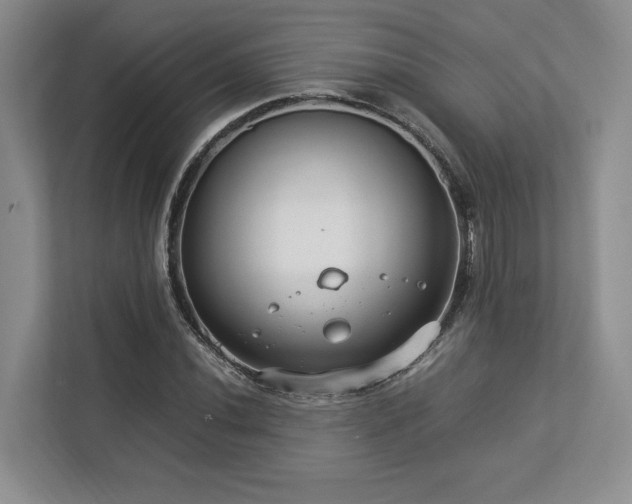 X0000112951020200908241338