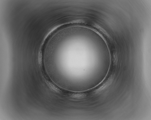 X0000112951021200908241338