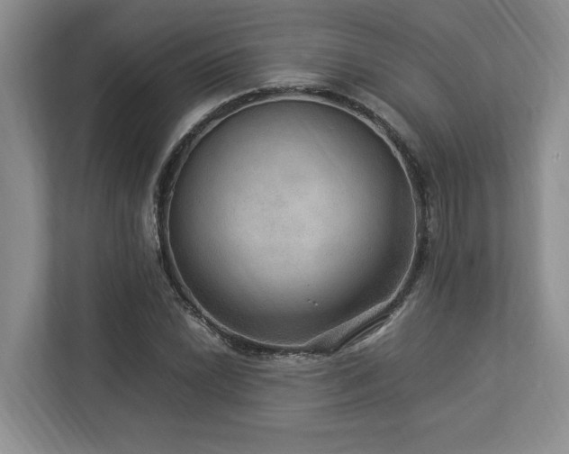 X0000112951022200908241338